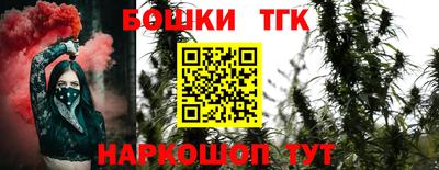 Альфа ПВП Сланцы