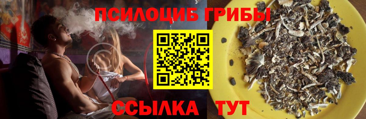 Псилоцибиновые грибы Magic Shrooms Менделеевск